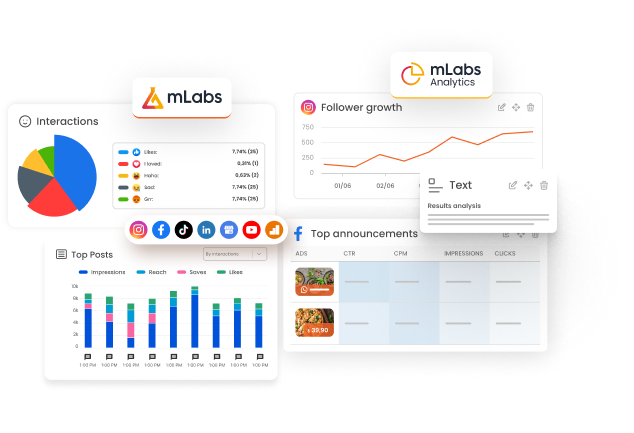 Image shows two marketing and social media reports generated by mLabs and mLabs Analytics.