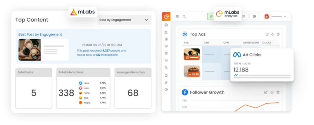 Image shows graphs of Facebook and Facebook Ads reports from mLabs and mLabs Analytics.