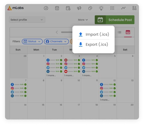Image shows a calendar in the background with emphasis on the Import and Export buttons.