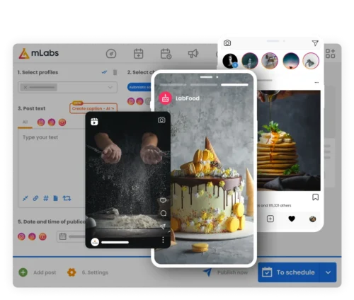 Instagram Manager mLabs: image shows the mLabs post scheduling screen, highlighting a post in Reels format, a post in Stories format, and a post in Feed format