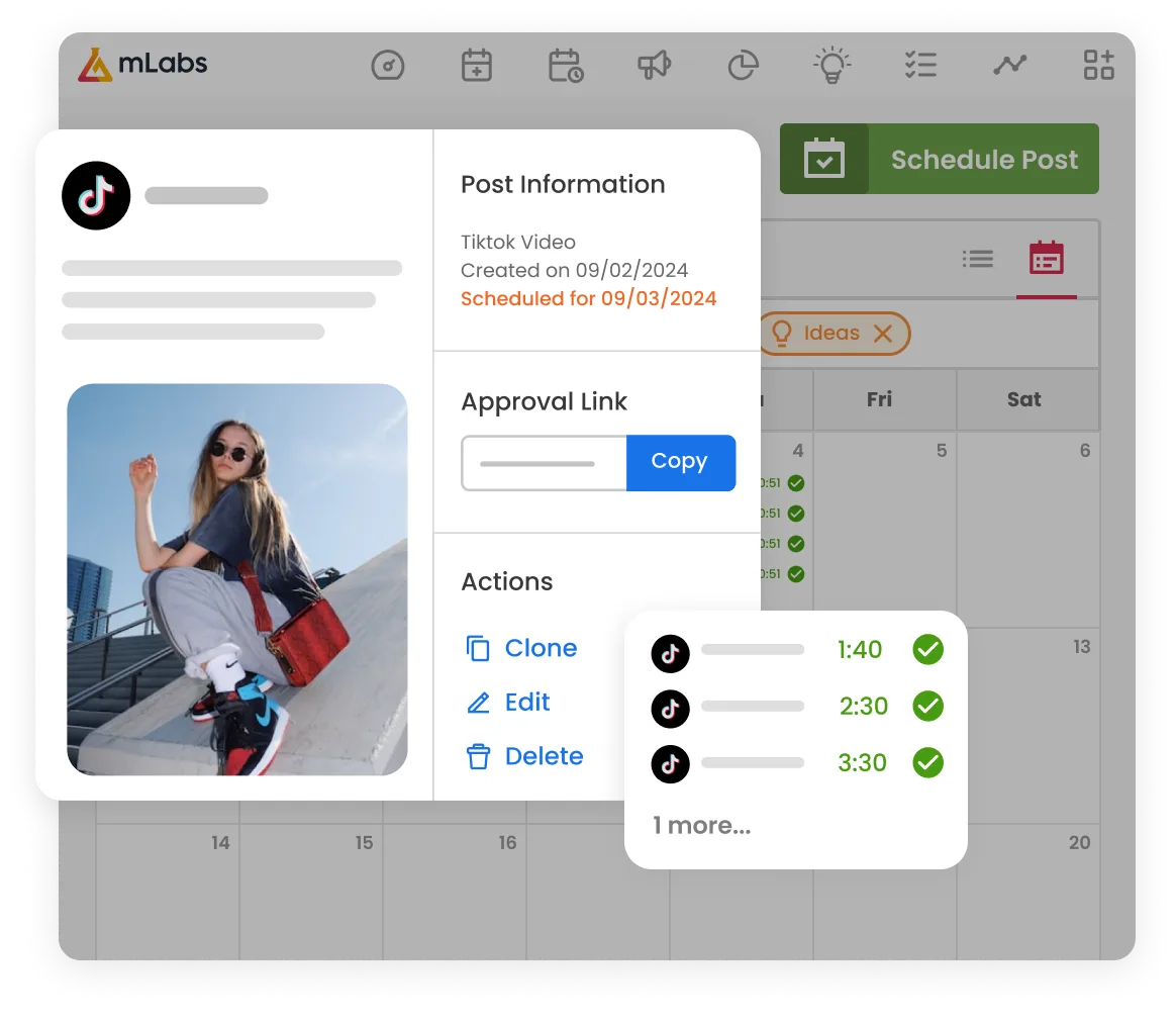 The image shows the mLabs Calendar screen with a preview of a video scheduled for TikTok and the action history of the open post