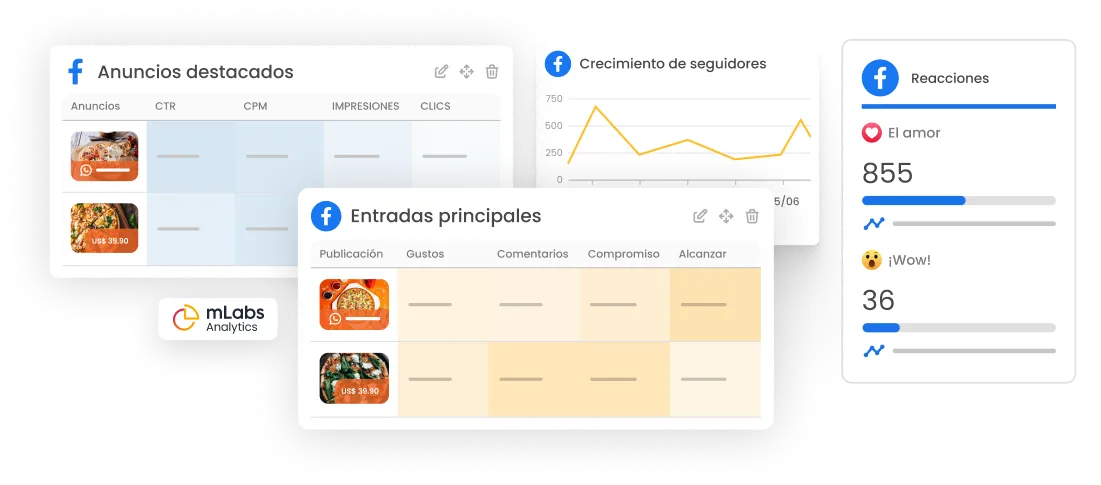 La imagen muestra gráficos con top ads, crecimiento de seguidores, mejores posts y reacciones en Facebook.