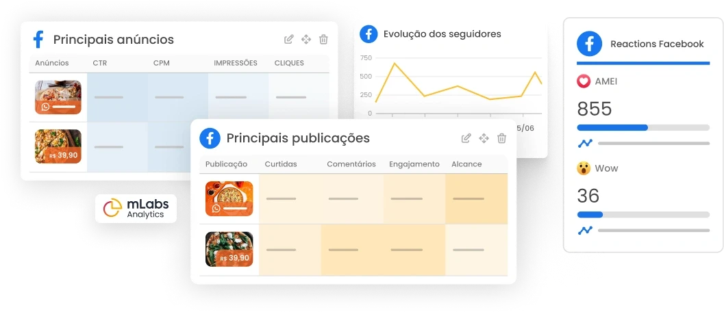 Imagem mostra gráficos com principais anúncios, evolução dos seguidores, principais publicações e reactions do Facebook.