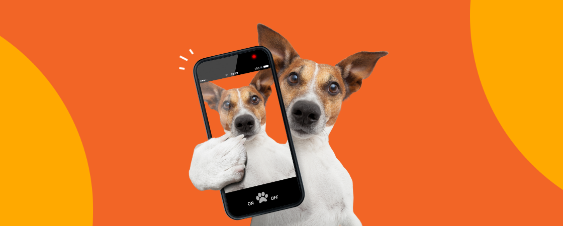 Influenciadores Virtuais||||||||