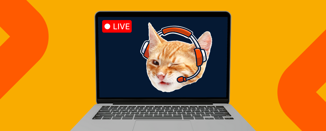 Profissão Streamer||