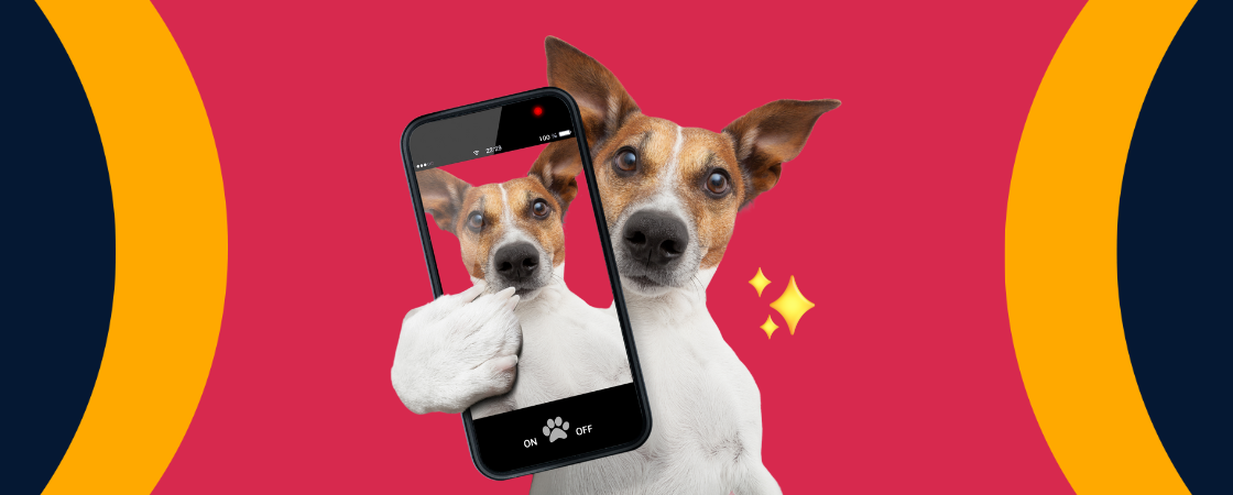 Como tirar boas selfies||