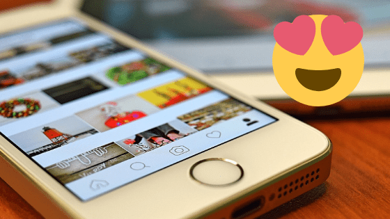 como organizar o feed do instagram header