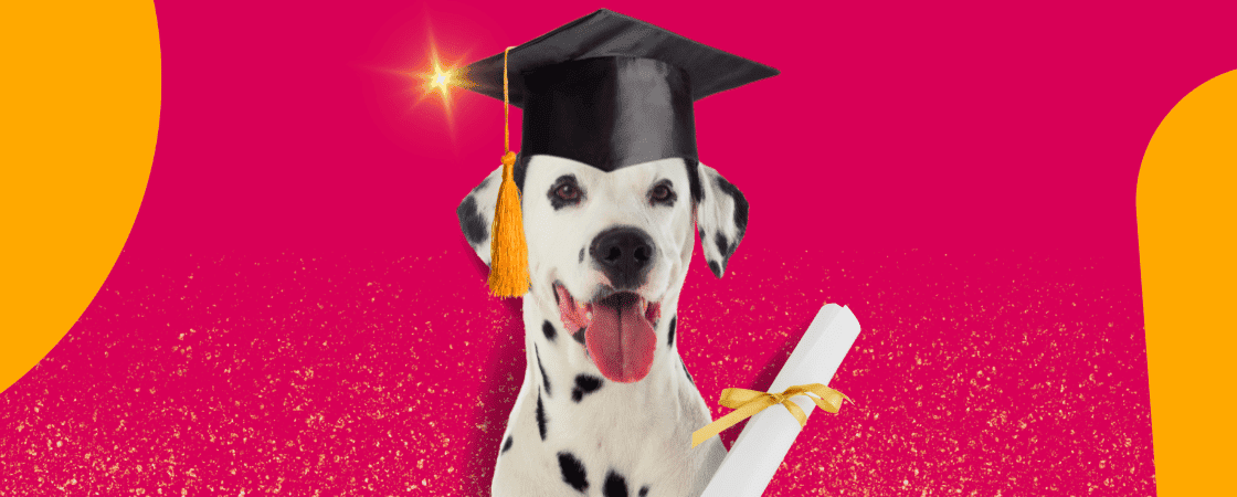 curso-social-media: capa ilustrativa