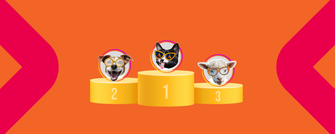 melhores perfis Instagram