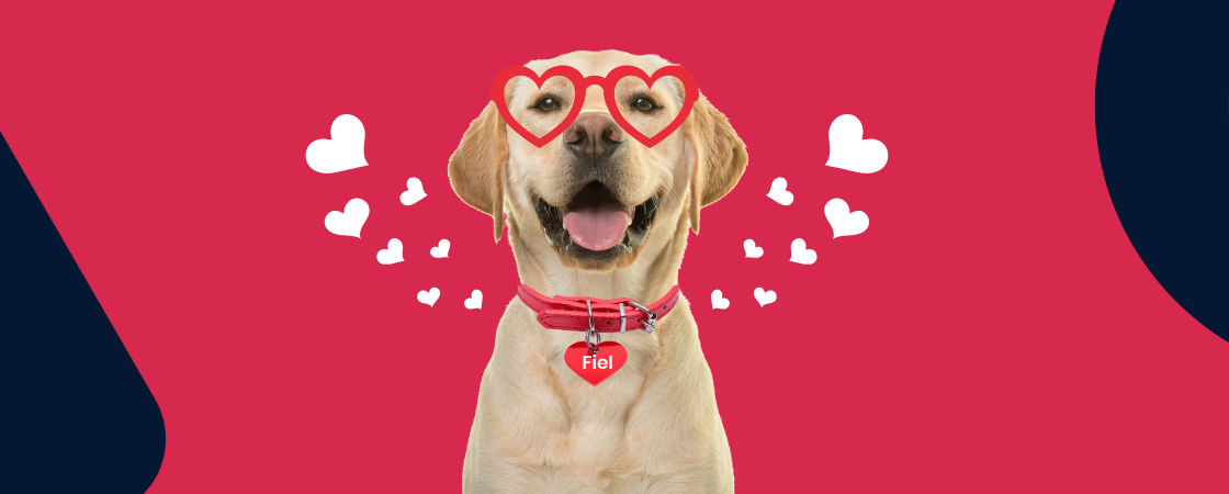 Marketing de fidelização