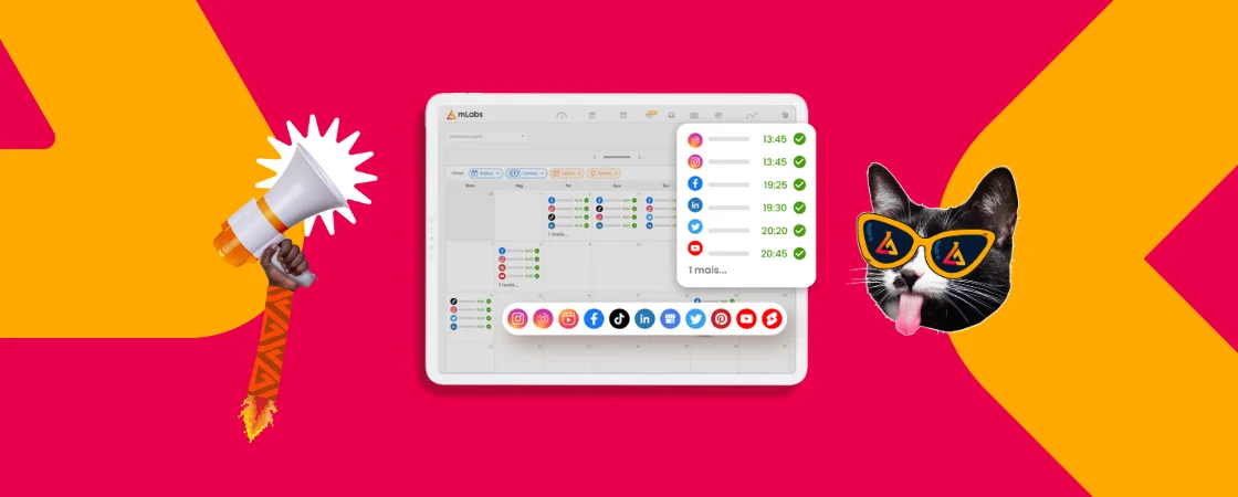 mlabs-planos: print página de workflow mlabs||||||||||