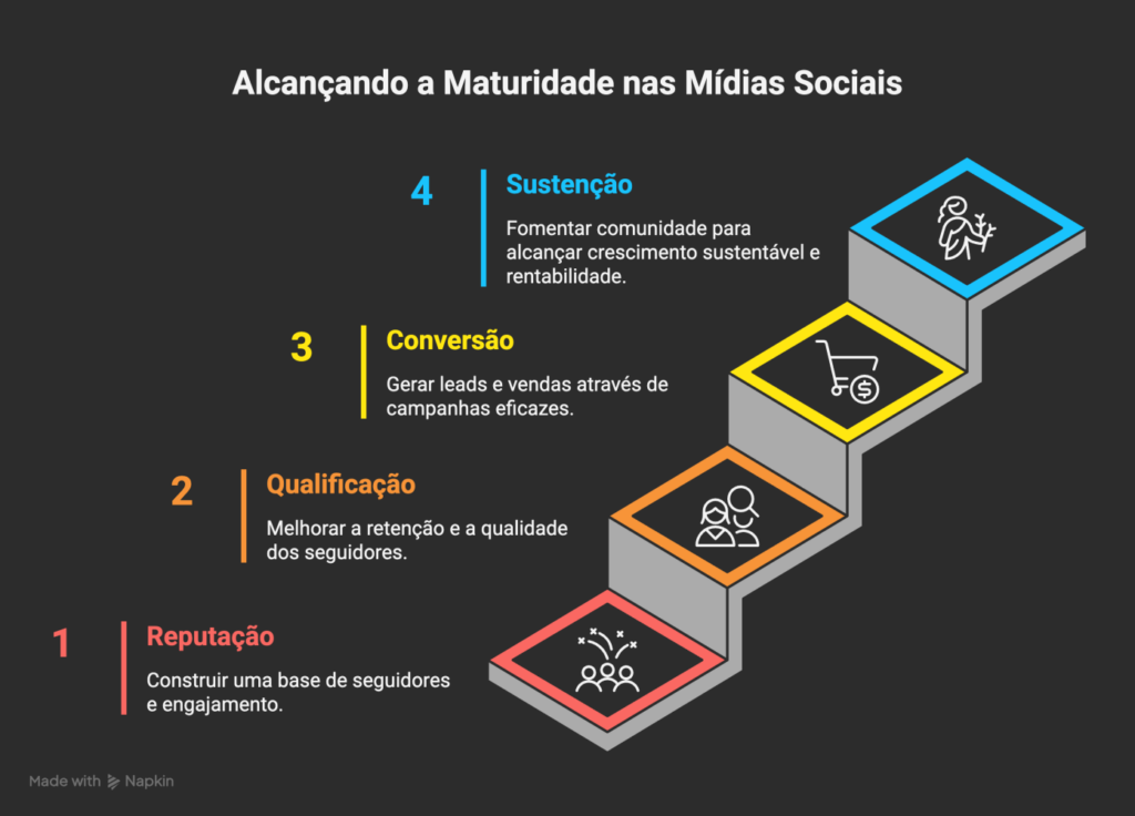 Infográfico: os níveis de maturidade nas redes sociais.