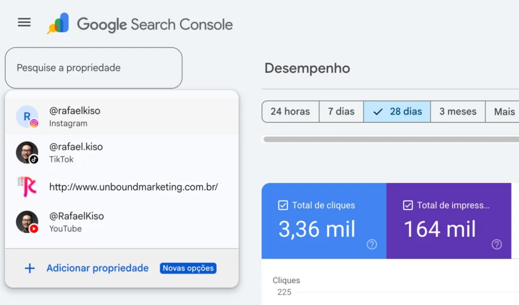 dados google search console 5 perfis - google search console
